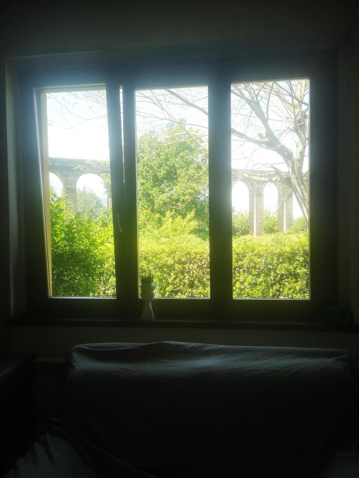 Residence Villa Ungaretti 卢卡 外观 照片